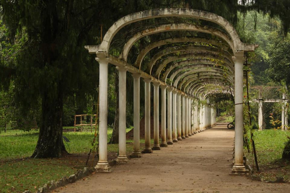 Jardim Botânico