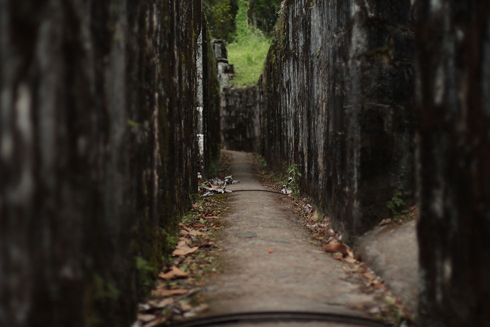 Ruínas Fortaleza N. Sª dos Prazeres