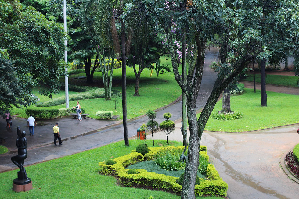 Jardim da Luz
