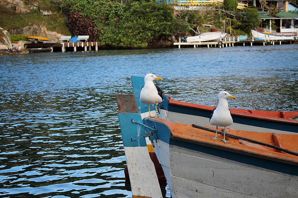Barra da Lagoa