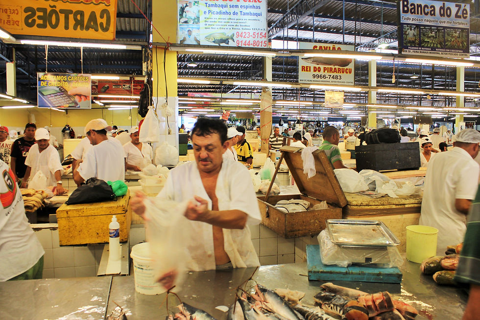 Mercado de Peixes