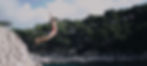 Jumping into the Water_edited_edited.jpg