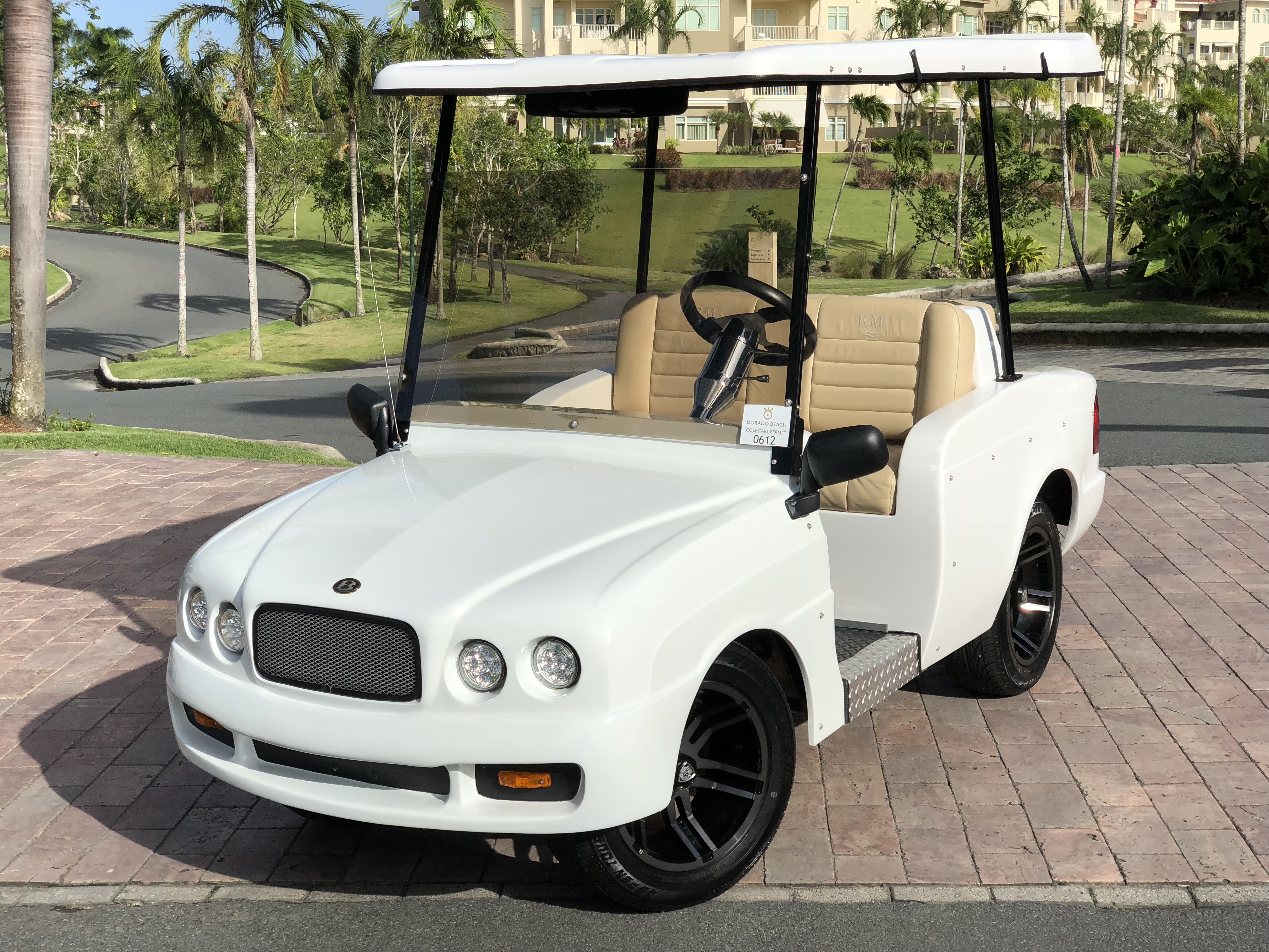 luxury golf buggy