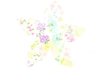 白い花