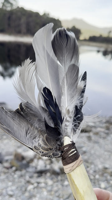 Thumbnail: Shamanic feather divination + clearing tool