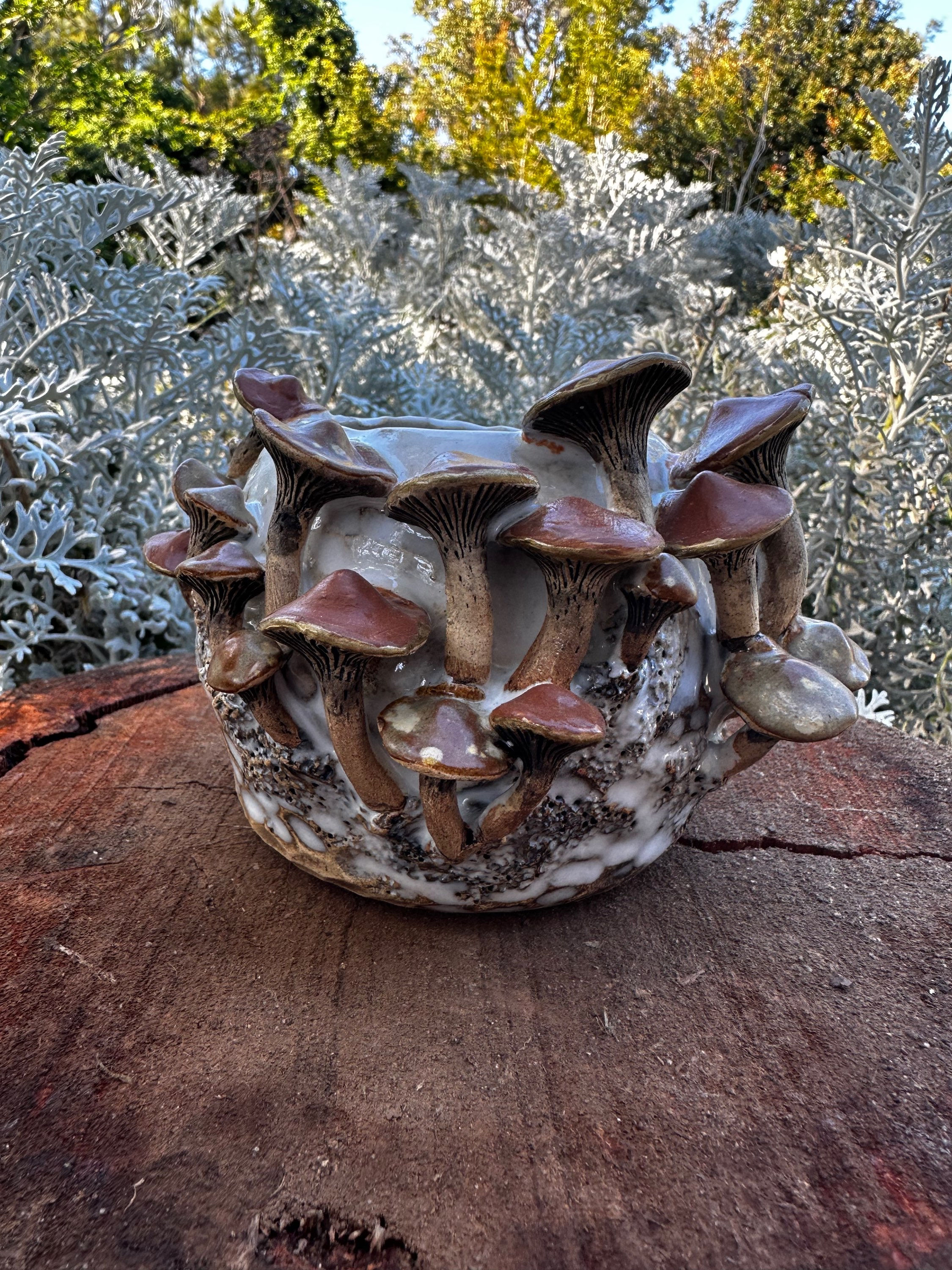 Mushroom vessel 