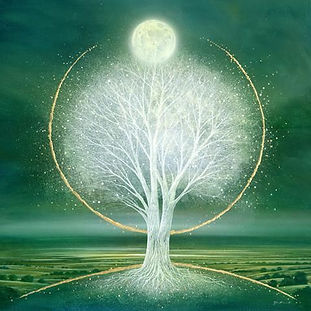 Large Lawn_edited.jpg