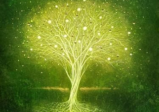 mark duffin (1).jpeg