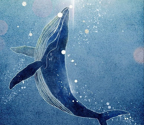 Large Lawn_edited.jpg