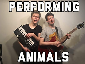 Animals.jpeg