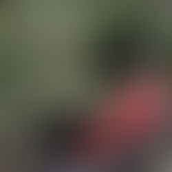 Introducing Gabby - a member with a passion for Trampers, who loves to get away!