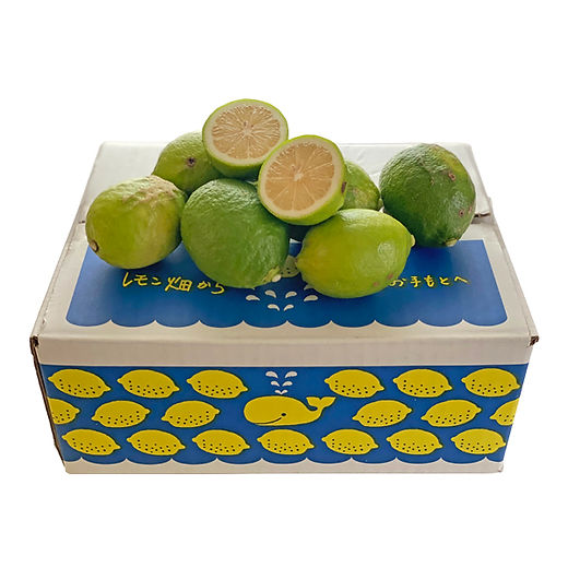 レモン☆ レモン☆ レモン☆ lemon商品です♪ ☆lemon☆ ZX LEMON CRACKERS