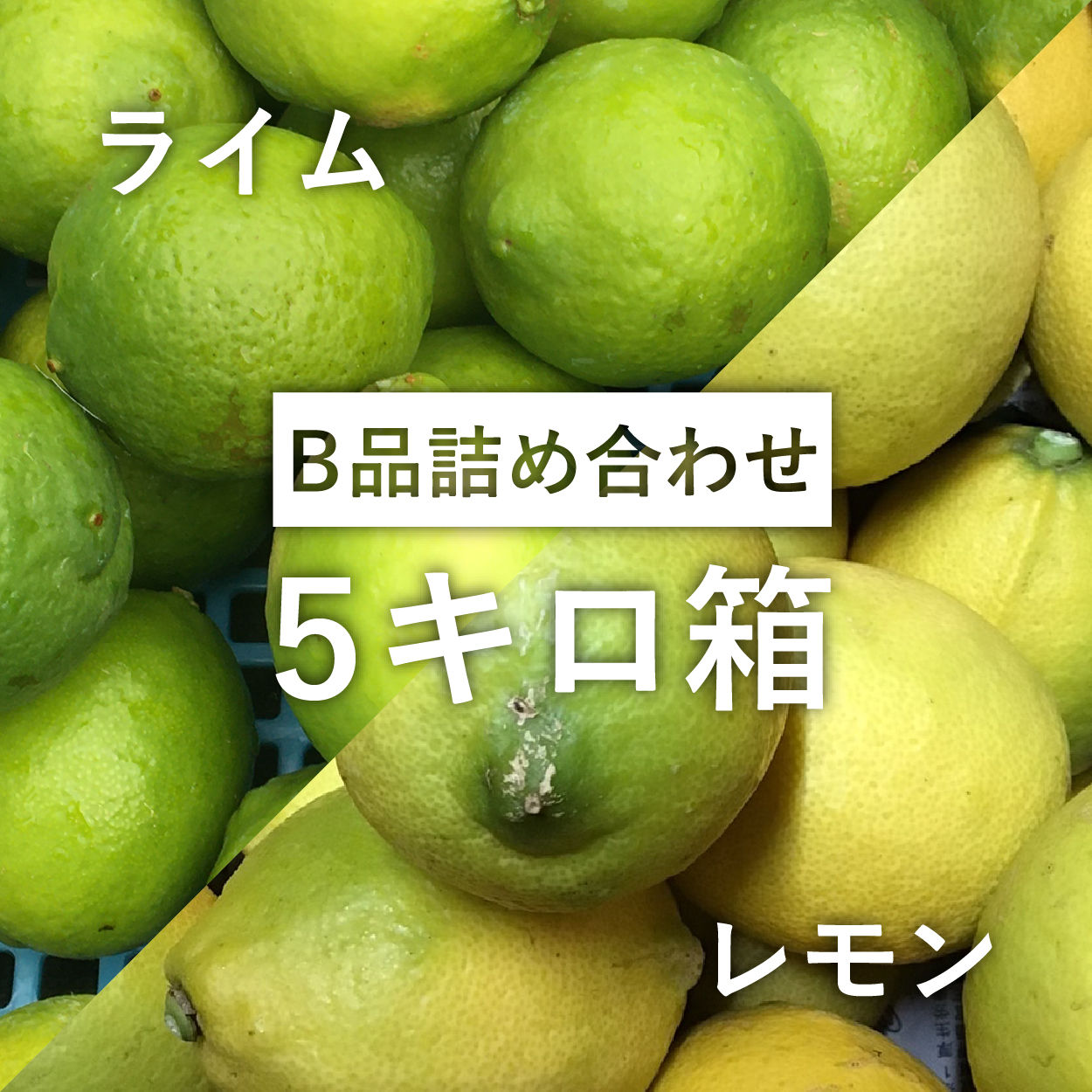レモン＆ライム【B品】5キロ箱