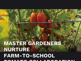 Master gardeners nurture farm-to-school collab