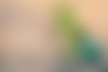 Quelques semaines sans alcool et la fête est plus folle !