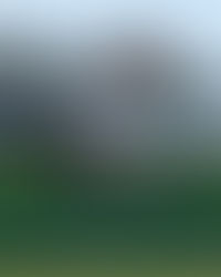 Bob Bright's photos from the opening of the green