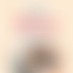 แมวเลือดออกช่องคลอด เกิดจากอะไร? อันตรายไหม พร้อมวิธีดูแลและการรักษา