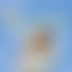 วิธีแก้ปัญหาแมวปากเหม็น