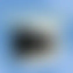 แมวอ้วกเป็นฟอง สัญญาณสุขภาพที่เจ้าของแมวควรเข้าใจให้ถูกต้อง