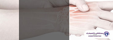 Green Modern Travel Seek Cover Image (8).jpg