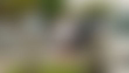 der Filmtipp: Reality (2024)