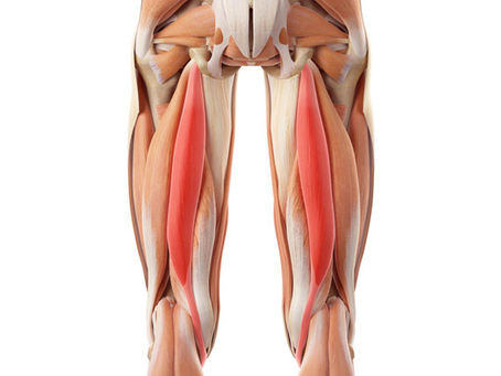What to do After a Hamstring Strain