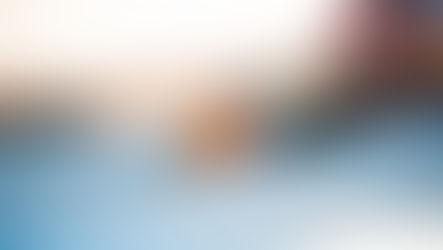 Comparing Shingle vs. Metal Roofing