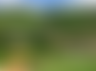 Wine Tasting at Buranco