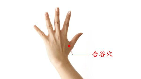 縮圖：紅外線光波蝴蝶帶