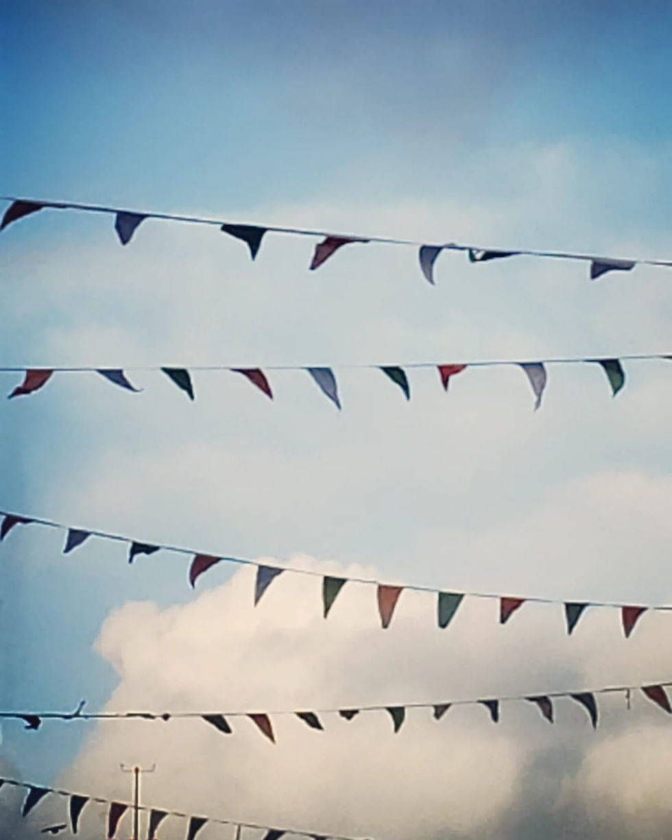 Bunting, photograph