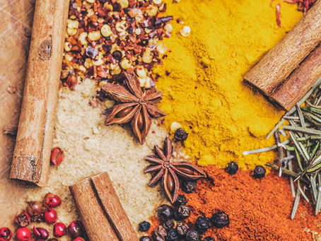TCVM in Pets: The Science Behind Herbal Medicine, and What to Look for in a Prescribing Vet