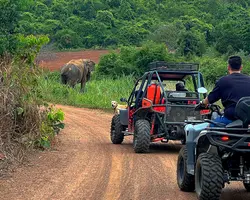 Elephant Experience Tour