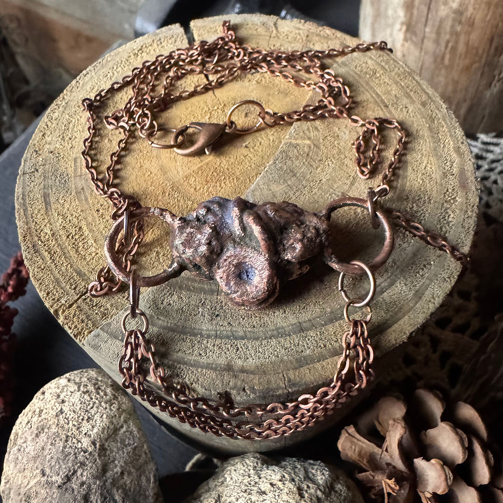 Thumbnail: Electro-formed Crinoid Cluster Festoon Necklace with Antique Red Copper Chain