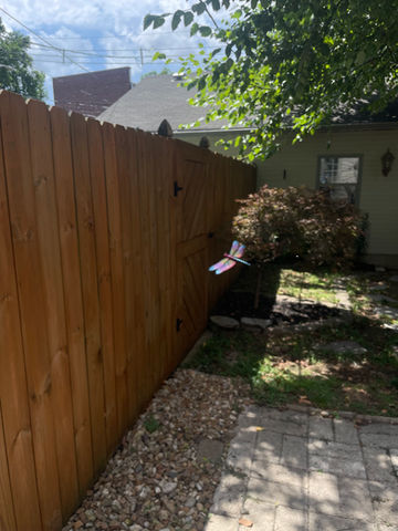 Backyard Fence