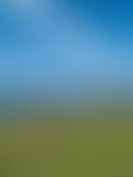 THE BEST THINGS TO DO IN RHODE ISLAND THIS SPRING