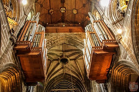 organ.jpg