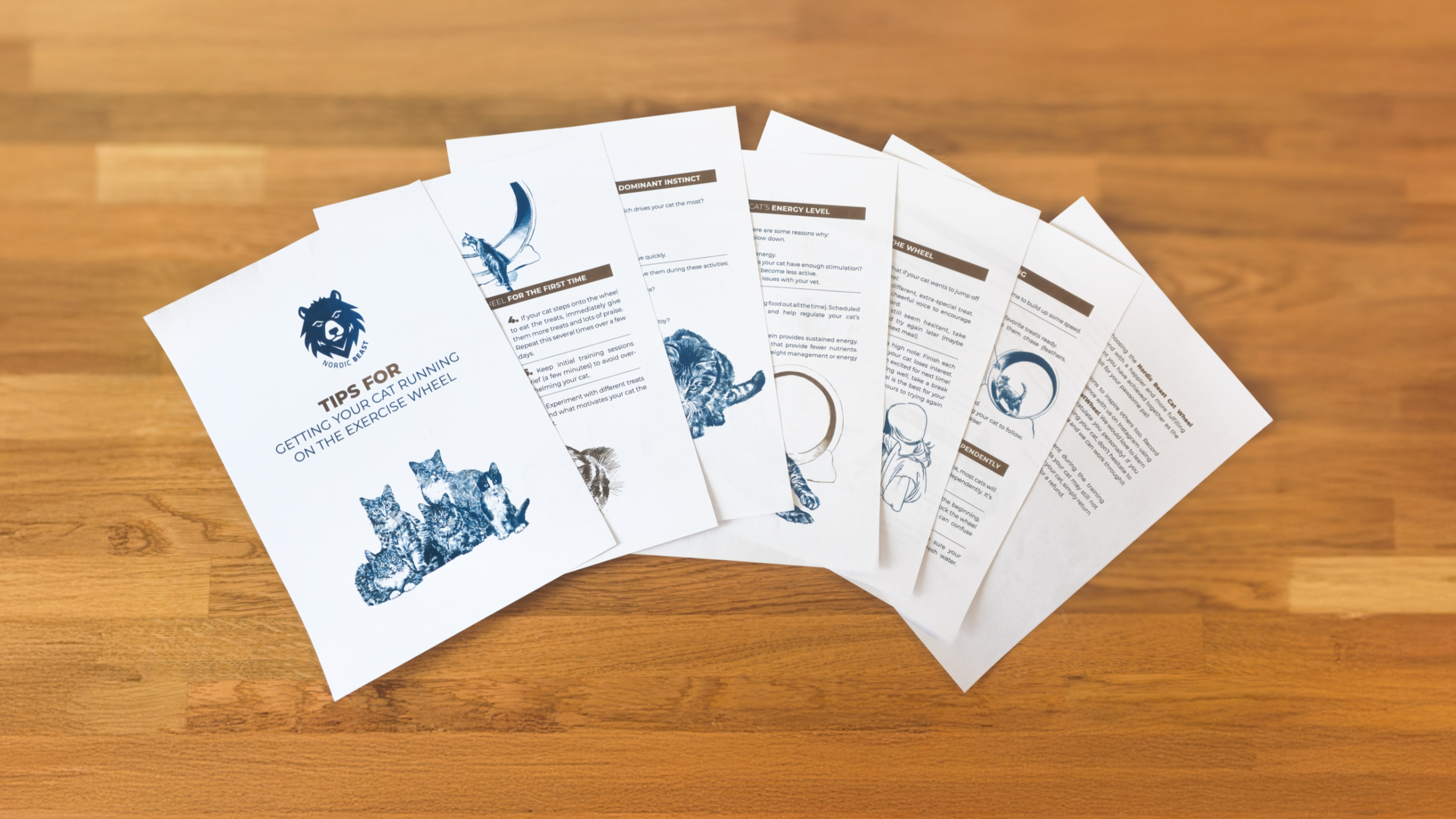 Nordic Beast Training Guide