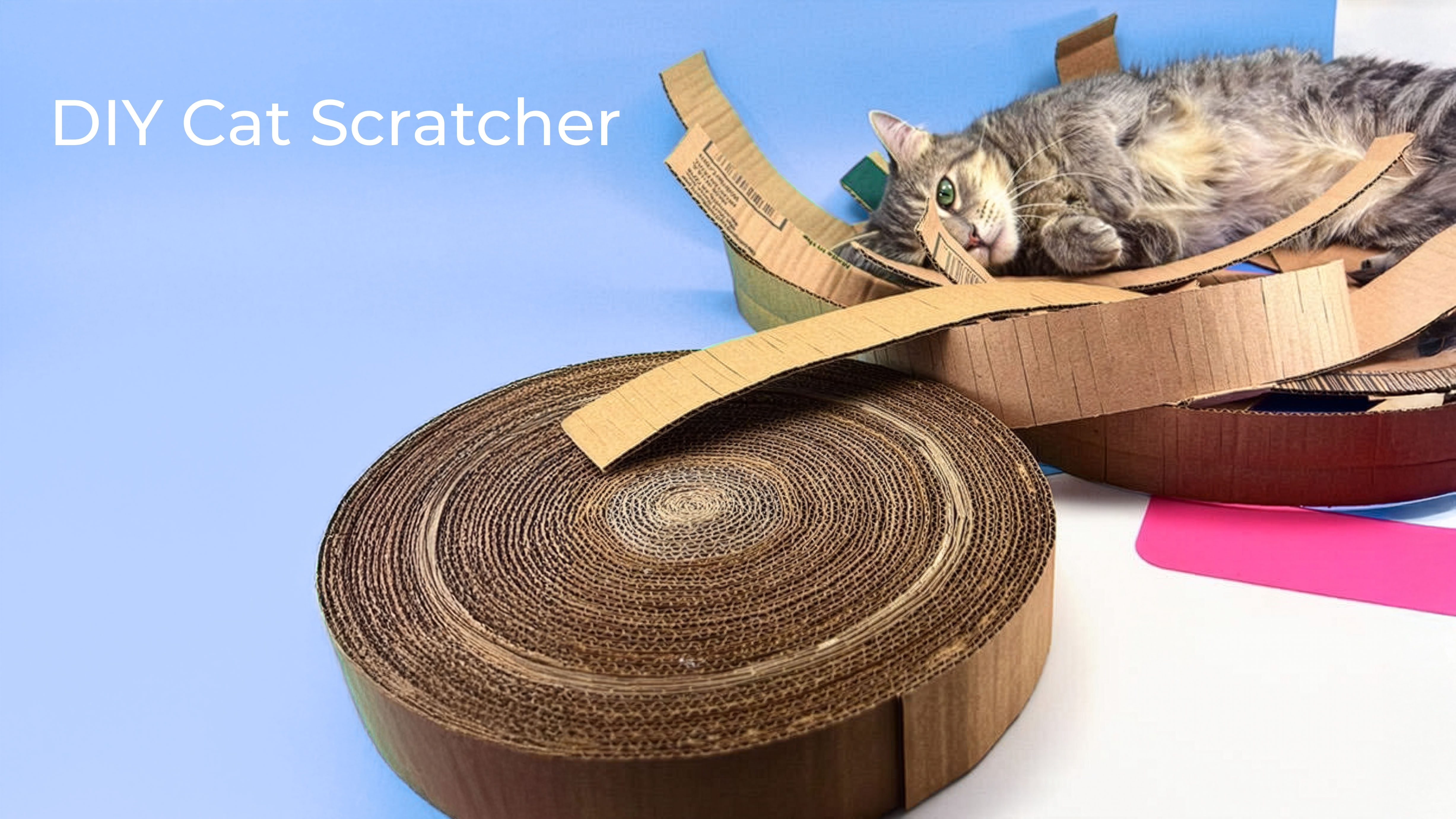Cardboard Cat Scratcher