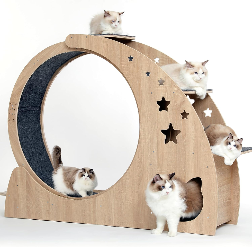 CYCLively cat wheel, minimalist cat wheel, quiet cat wheel, durable cat wheel