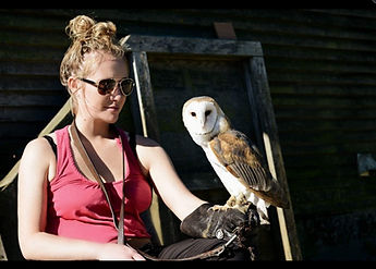 Screenshot_20191104-132817_Gallery_edite