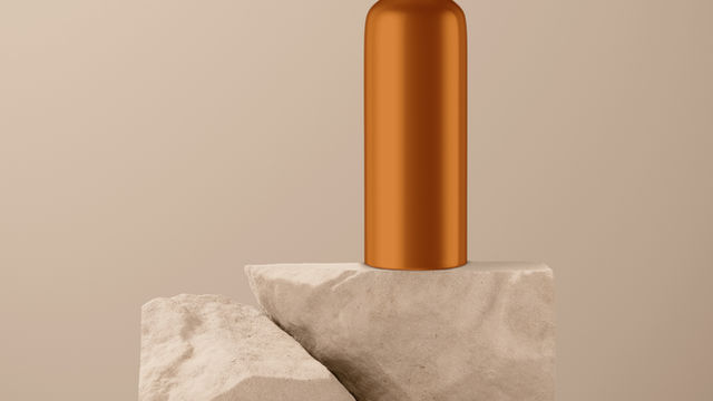 Stainless Steel Water Bottle