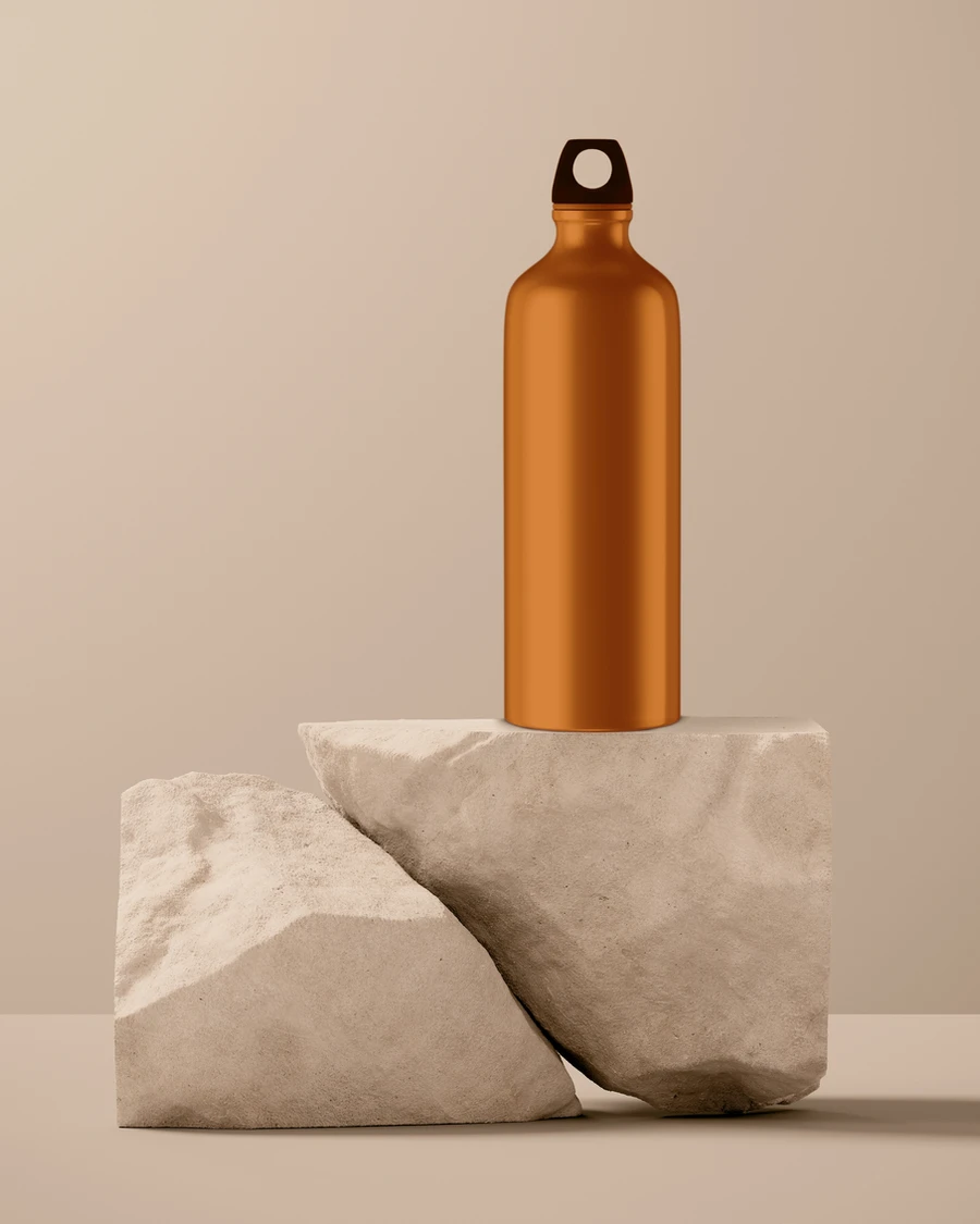 Stainless Steel Water Bottle
