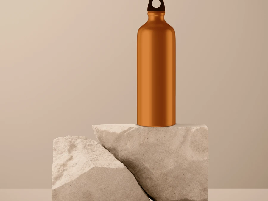 Stainless Steel Water Bottle