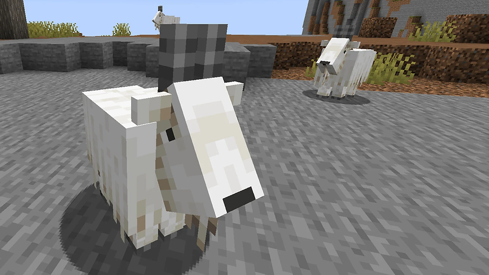 700c43bd51675b31_original.png