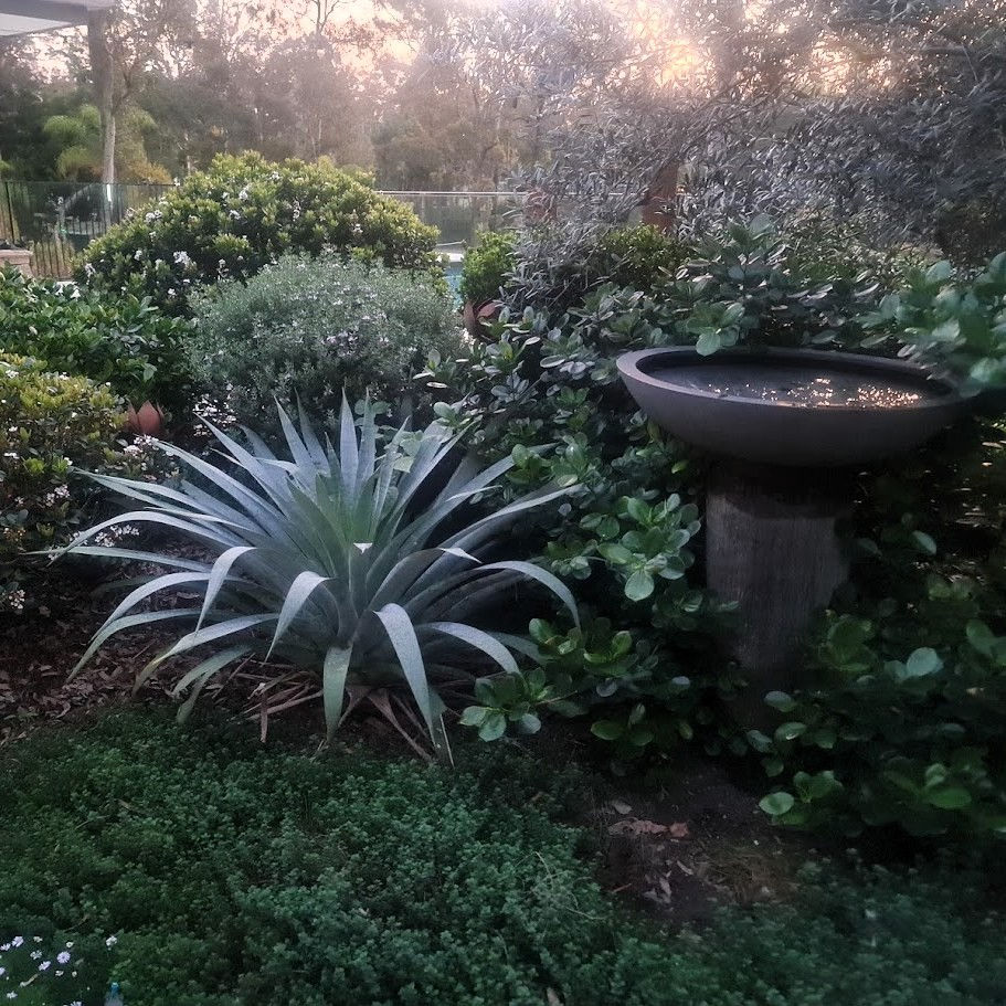 Plants_.jpg