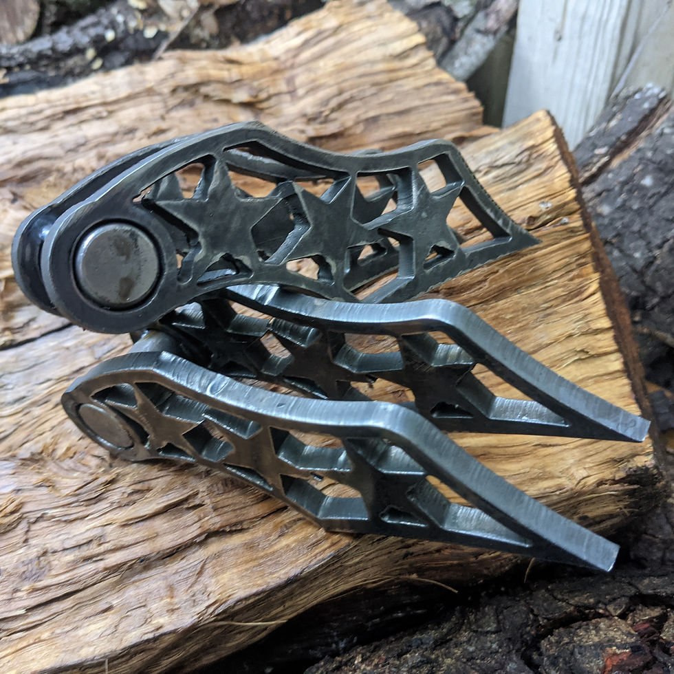 Heavy duty hinge ( star)