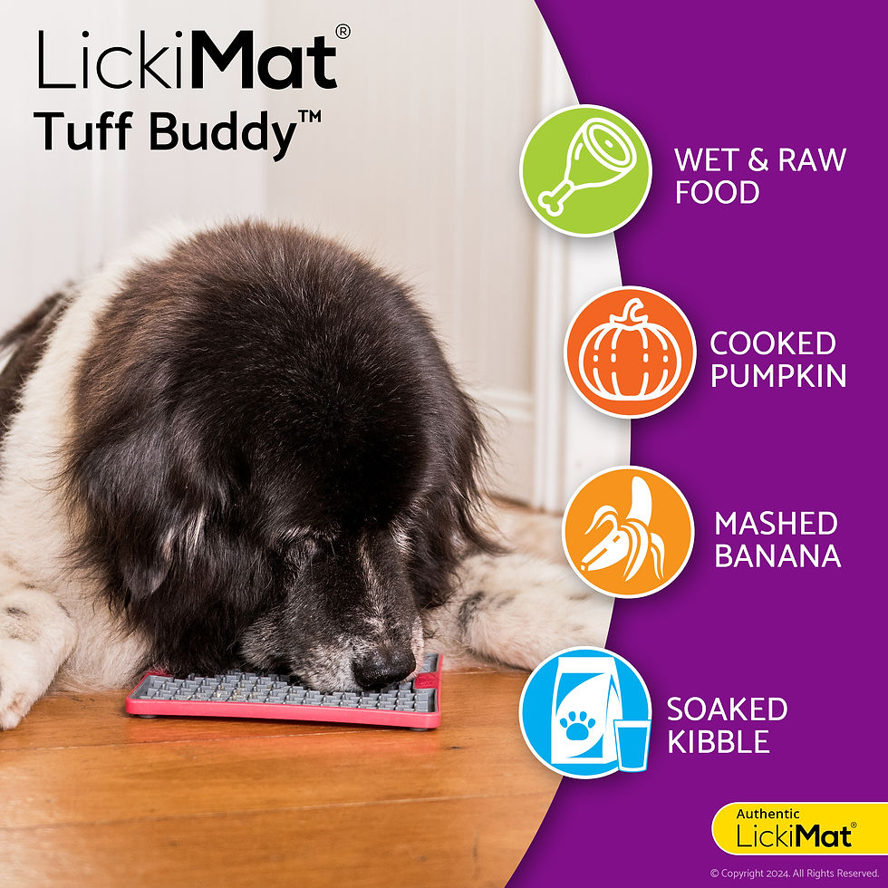 Thumbnail: LickiMat Tuff Buddy | Slow Feeder
