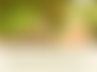 IPTU no Contrato de Locação