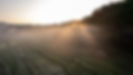 20240225-DJI_0146.jpg