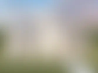 The "Miracle"